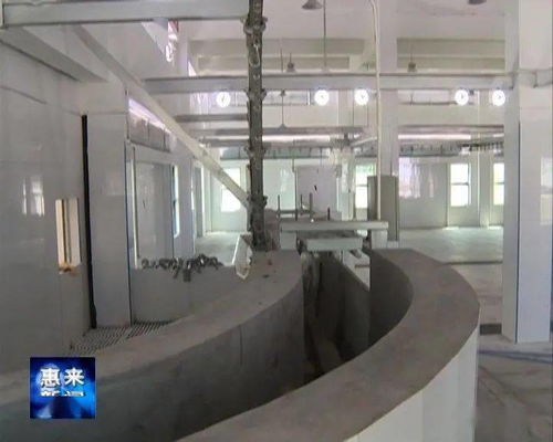 縣食品倉(cāng)儲(chǔ)中心和機(jī)械化肉聯(lián)廠建成并試運(yùn)營(yíng)