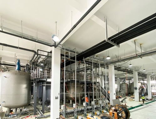 nmn概念 長壽藥龍頭計劃登陸港股,又一批千萬富豪將上線