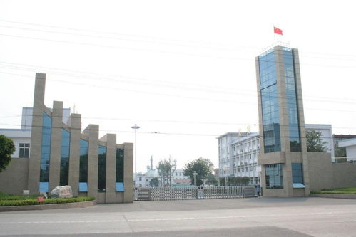 廣東西南建設(shè)工程集團(tuán) 引領(lǐng)區(qū)域發(fā)展的建筑先鋒